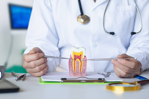 Best Emergency Dentist for Lost Fillings or Crowns in Green Level, NC